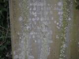image of grave number 798470